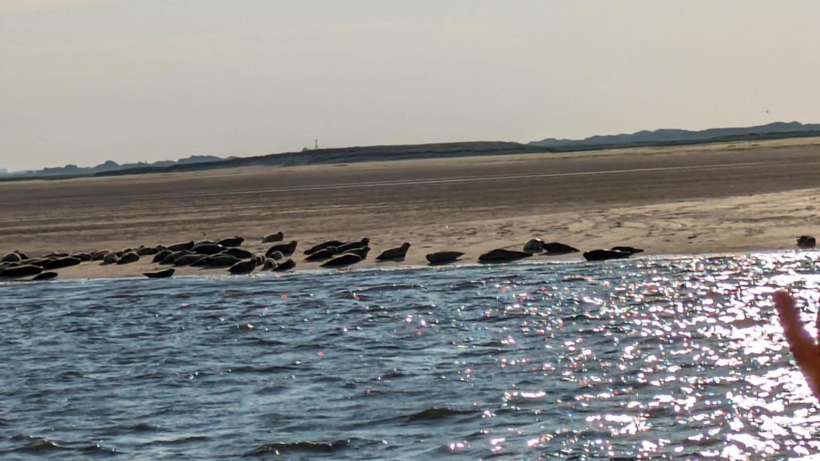 Drei-Insel-Blick Neßmersiel Esterno foto
