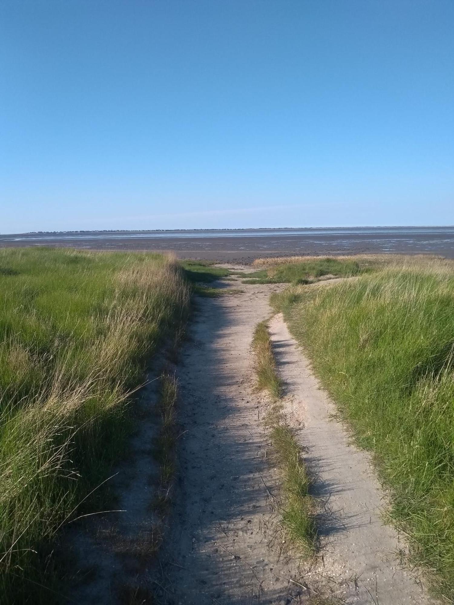 Drei-Insel-Blick Neßmersiel Esterno foto