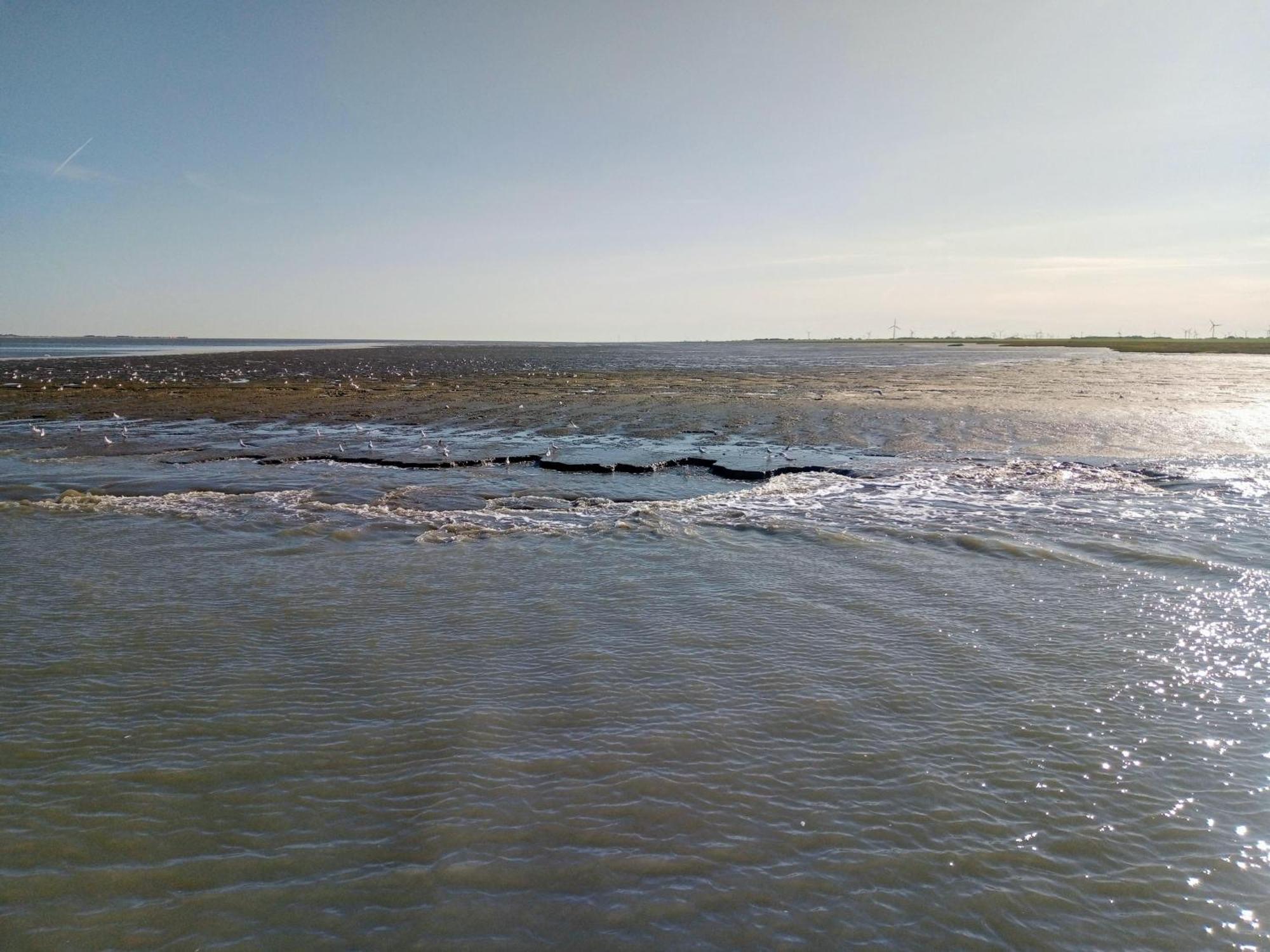 Drei-Insel-Blick Neßmersiel Esterno foto