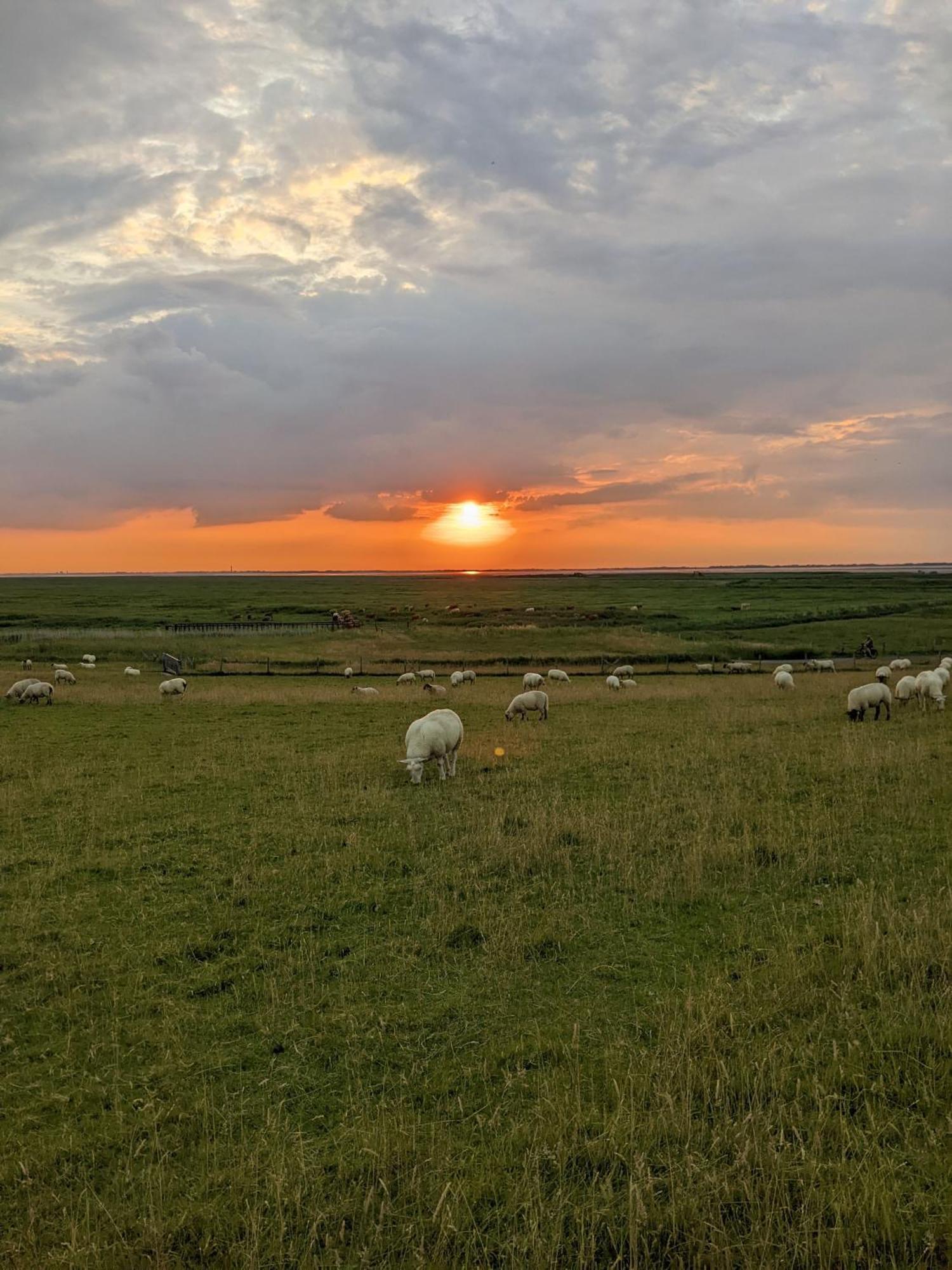 Drei-Insel-Blick Neßmersiel Esterno foto