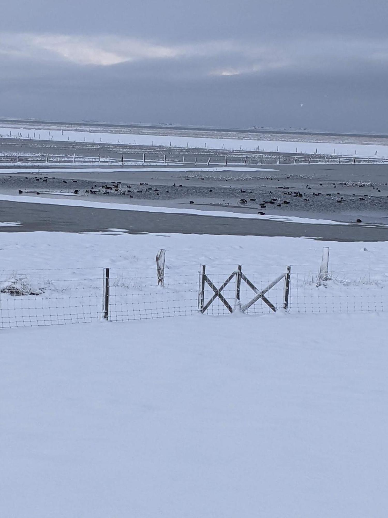 Drei-Insel-Blick Neßmersiel Esterno foto
