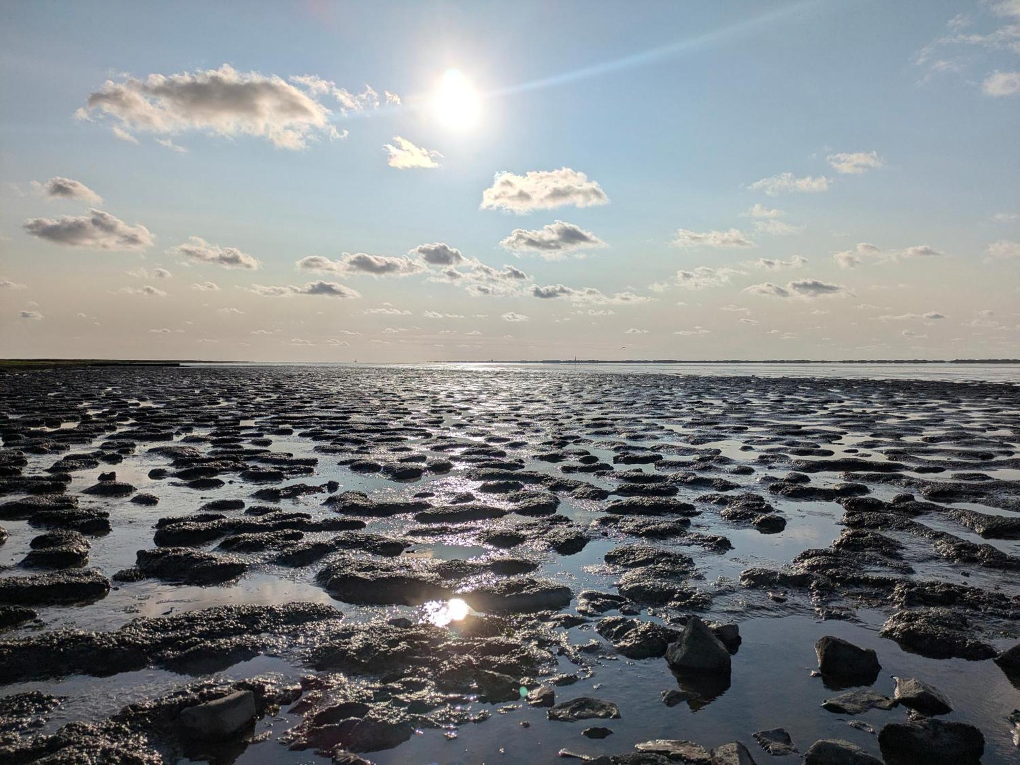 Drei-Insel-Blick Neßmersiel Esterno foto